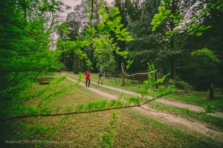 Training run through a green forest