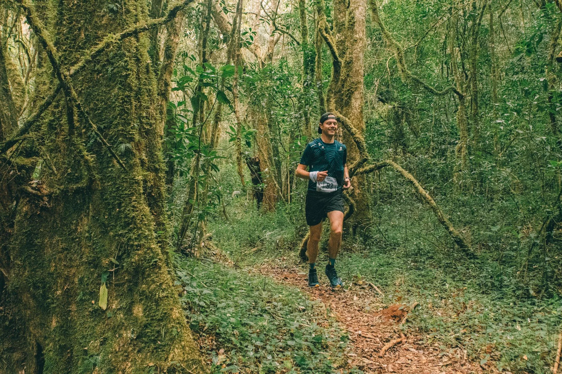 Runner on a wooded trail
